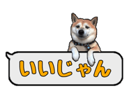 310982218