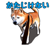 310982225