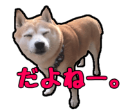 310982228