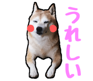 310982230