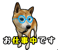 310982237