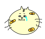 3109972
