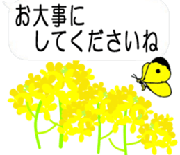 310998886