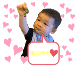 311042491