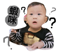 31106950