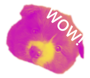 311074667
