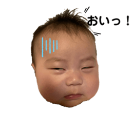 311091215