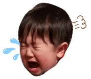 311119063
