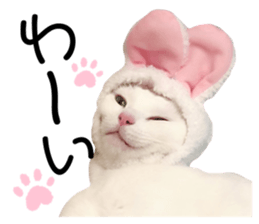 311154578