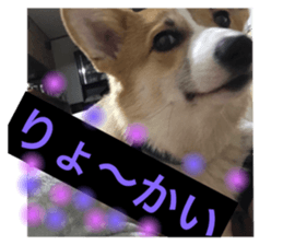 31118532