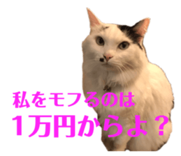 311189715