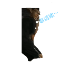 311195091