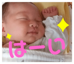 311211016