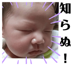 311211032