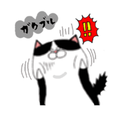 3112323