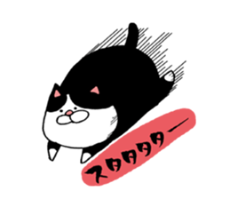 3112341
