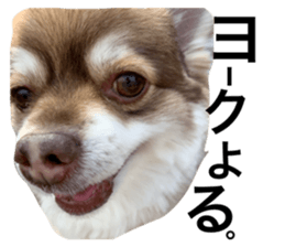 311248705