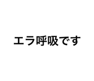 311316408