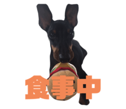 311407884