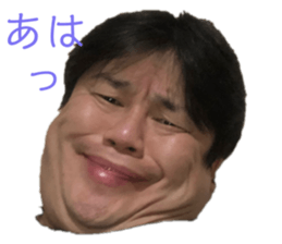 311465062