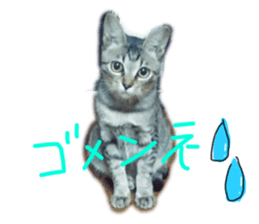 311469130