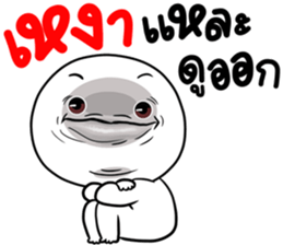 311564741