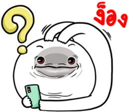 311564759