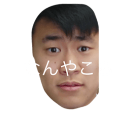 311579167