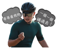 311633410