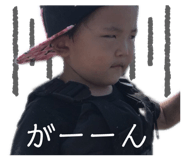 311655004