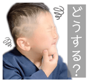 311655008