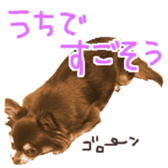 311726515