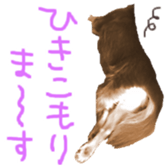 311726517