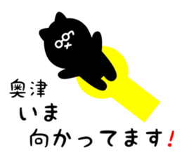 31173162