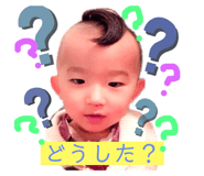 311756405