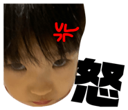 311760422