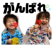 311760426