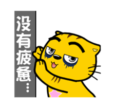 311814181