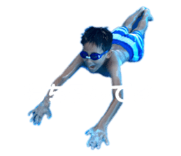 311832557