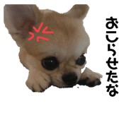 311840790