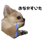 311840804