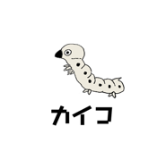 312011368