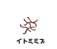 312011372