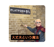 312017493