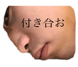 312021667
