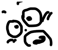 312042234