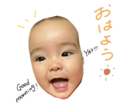 312052534