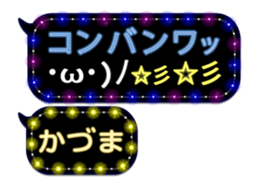 312100116
