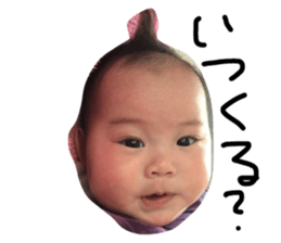31213368