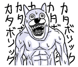 312153567